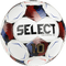 Select Numero 10 v25 Soccer Ball Bundle (12-pack with ball bag)