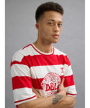 hummel Denmark DBU Fan 24 Striped Tee-Soccer Command