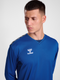 hummel Authentic 24 PL LS Jersey (adult)