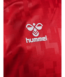 hummel Denmark DBU 24 Replica Home Jersey (youth)-Soccer Command