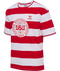 hummel Denmark DBU Fan 24 Striped Tee-Soccer Command