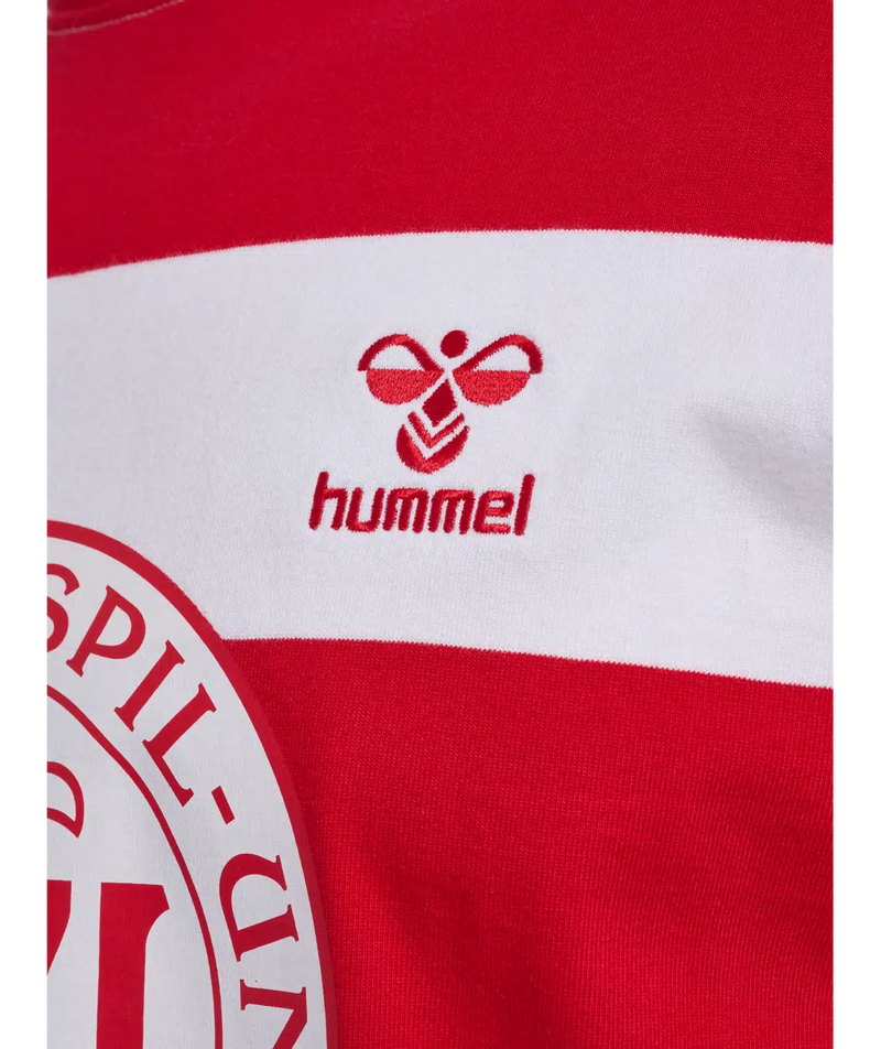 hummel Denmark DBU Fan 24 Striped Tee-Soccer Command