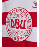 hummel Denmark DBU Fan 24 Striped Tee-Soccer Command