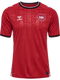 hummel 2025 Greenland Home Soccer Jersey