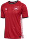 hummel Greenland 2025 Home Soccer Jersey